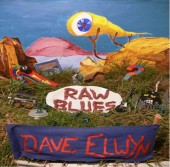 Raw Blues front cover